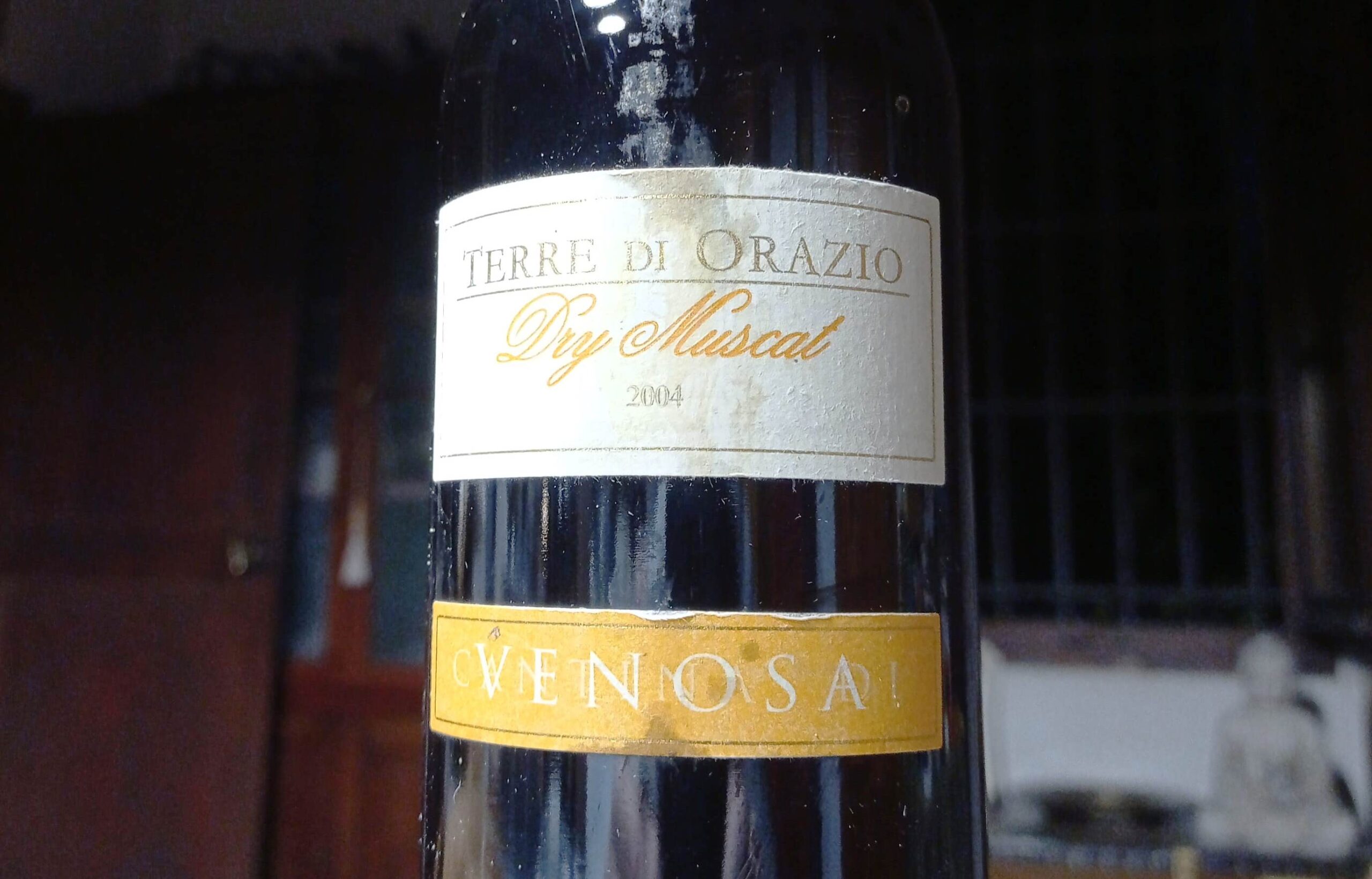Wine bottle with two labels: white top reading 'TERRE DI ORAZIO' and 'Dry Muscat' with year 2004; gold bottom label with partially illegible text