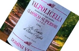 Close-up of a wine bottle label reading 'Valpolicella Classico Superiore' with the year 1996 visible, set outdoors.