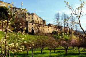 Historic stone building on a hill framed by blooming fruit trees against a clear blue sky.