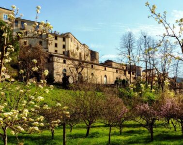 Historic stone building on a hill framed by blooming fruit trees against a clear blue sky.