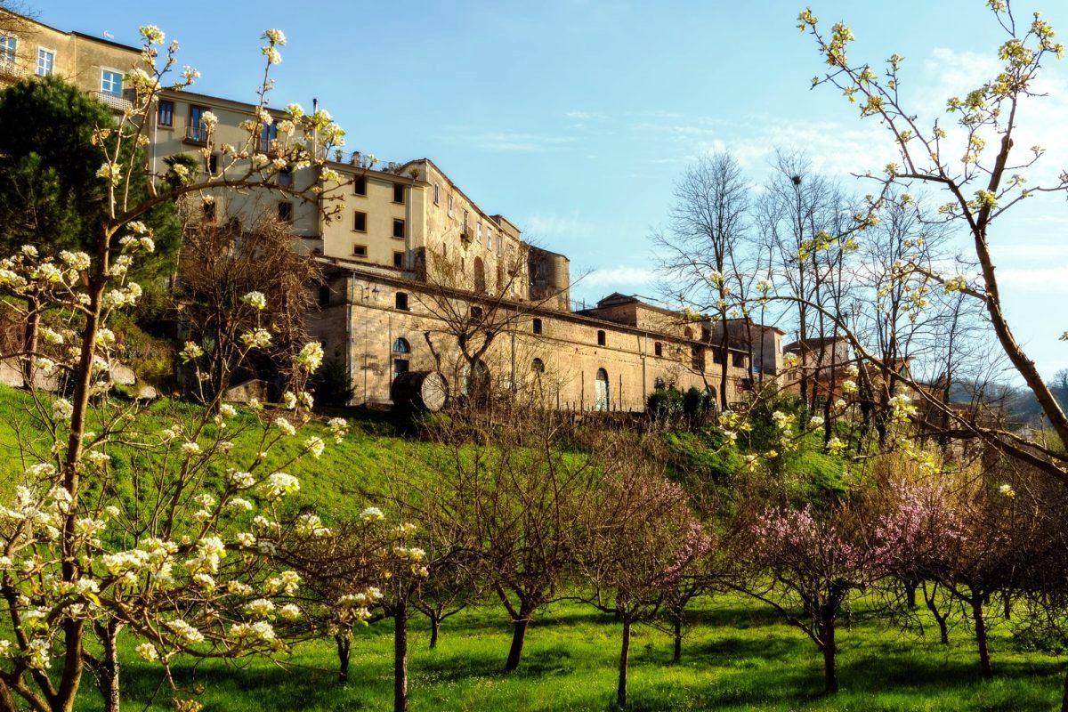 Historic stone building on a hill framed by blooming fruit trees against a clear blue sky.
