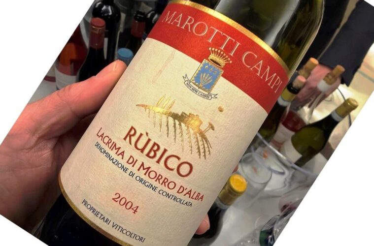Close-up of a hand holding a wine bottle tilted, label reads Rubico with a red band and crest, vintage 2004.