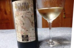 Wine bottle with a vintage map label reading 'CAVAGINO' beside a filled white wine glass on a gray countertop.