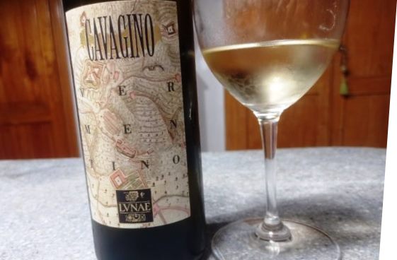 Wine bottle with a vintage map label reading 'CAVAGINO' beside a filled white wine glass on a gray countertop.