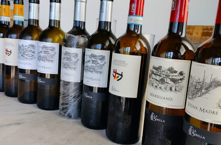 Row of wine bottles lined up on a marble surface, labels facing forward for display readout (red and white wines)