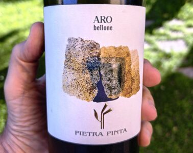 Hand holding a white-labeled wine bottle with 'ARO bellone' and 'PIETRA PINTA' on the label, outdoors in sunlight.