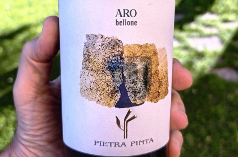 Hand holding a white-labeled wine bottle with 'ARO bellone' and 'PIETRA PINTA' on the label, outdoors in sunlight.