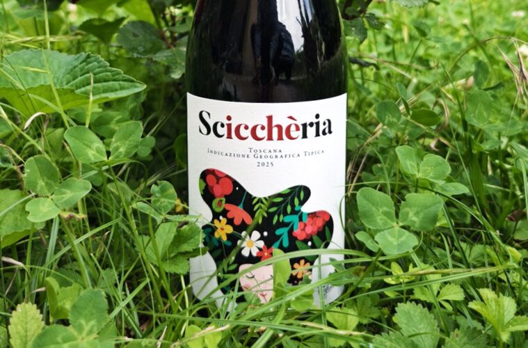 Wine bottle labeled Sciccheria nestled in green grass and clover.