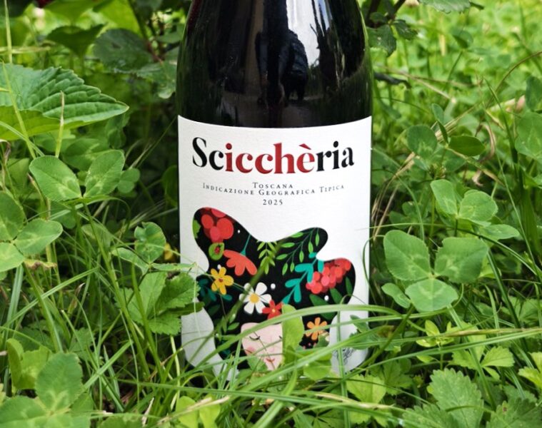 Wine bottle labeled Sciccheria nestled in green grass and clover.