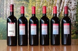 Six dark wine bottles with red foilcaps lined up on a wooden surface; labels read Bruno Verdi Cavariola Riserva with years 1990s–2002, set against a forest backdrop.