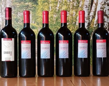 Six dark wine bottles with red foilcaps lined up on a wooden surface; labels read Bruno Verdi Cavariola Riserva with years 1990s–2002, set against a forest backdrop.