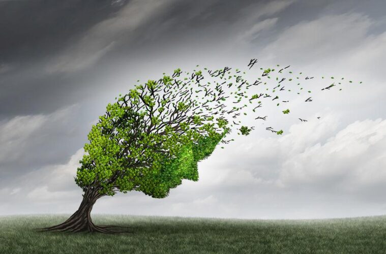 Tree shaped like a human head blowing green leaves into the sky as birds fly away from it in a grassy field.