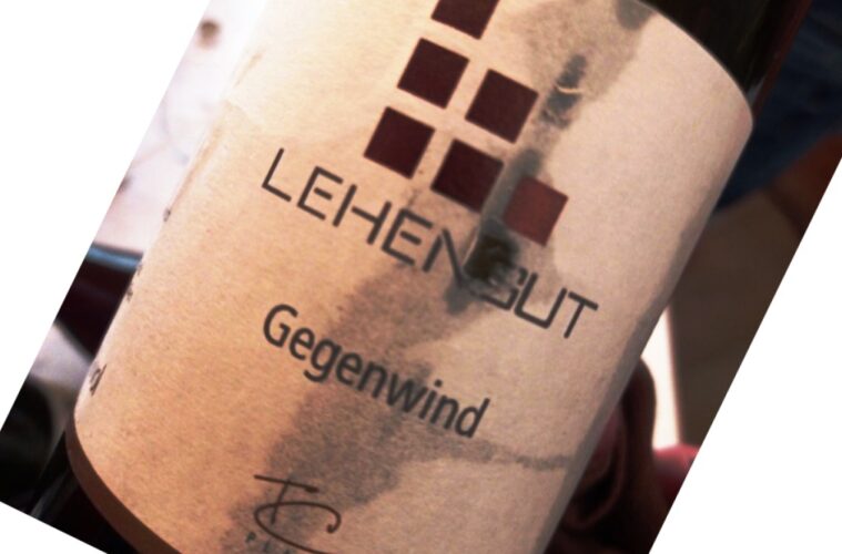 Close-up of a tilted wine bottle label with the word 'Gegenwind' and a grid of dark red squares.