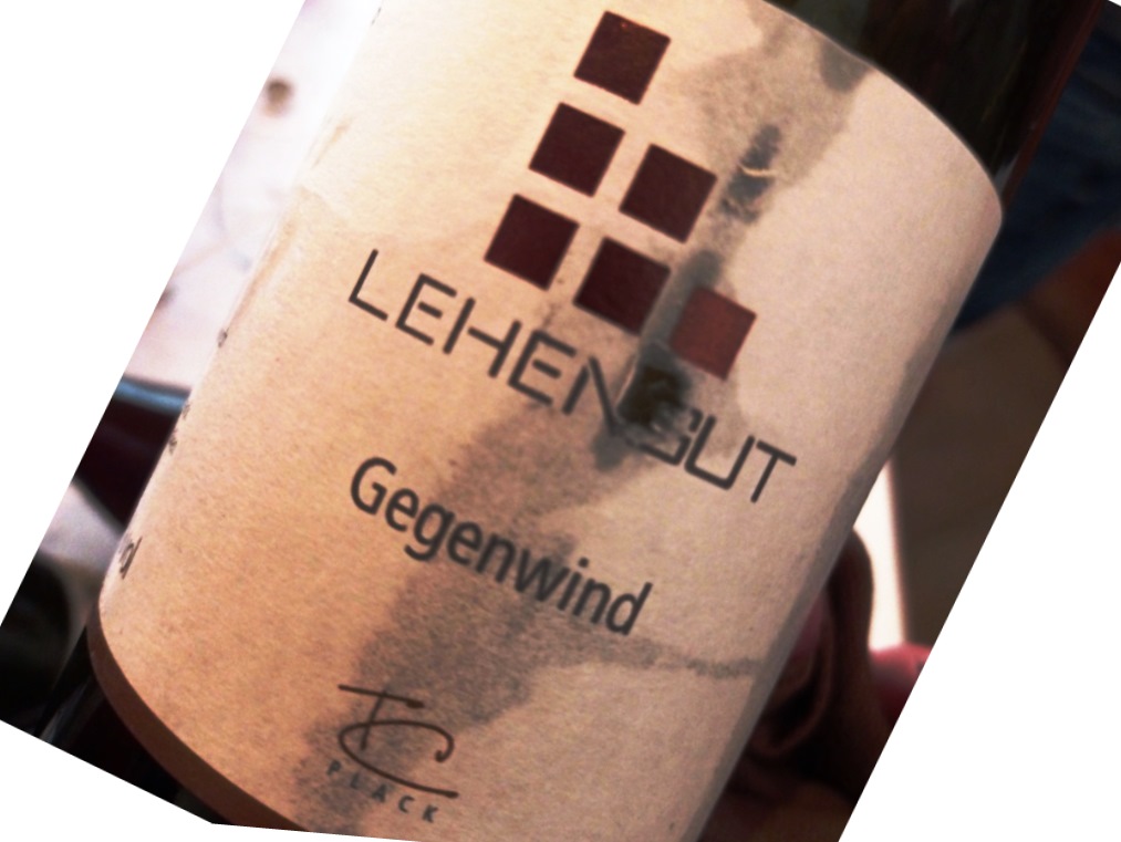 Close-up of a tilted wine bottle label with the word 'Gegenwind' and a grid of dark red squares.