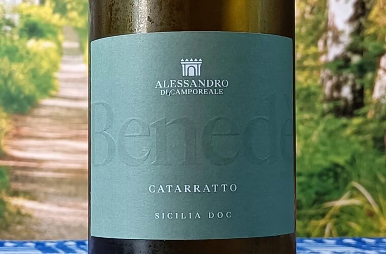 Wine bottle label: Alessando di Camporeale Catarratto Sicilia DOC, outdoor scene in soft focus