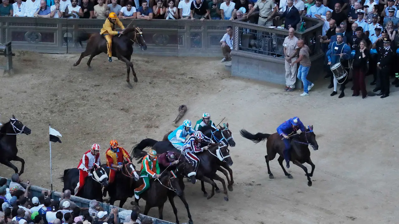 Jockeys in colorful silks race around a dirt track as a crowd watches from the stands.
